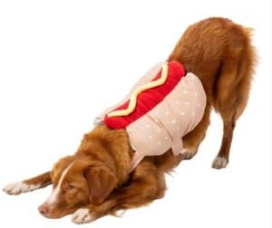 Hotdog food Halloween Pet Costume dog